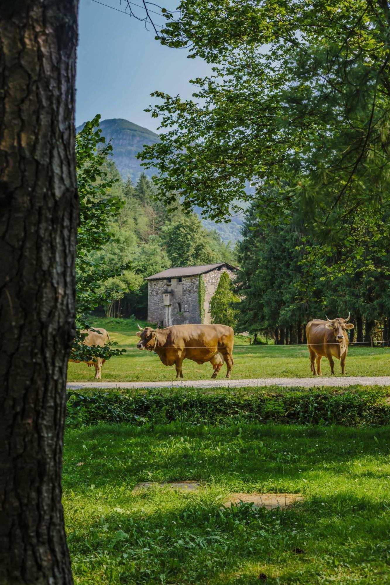 فيلا Agriturismo Ferdy Lenna المظهر الخارجي الصورة
